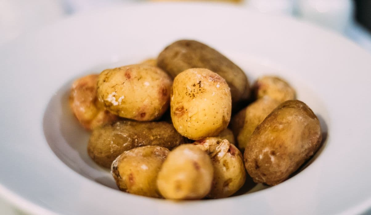 Papas Arrugadas