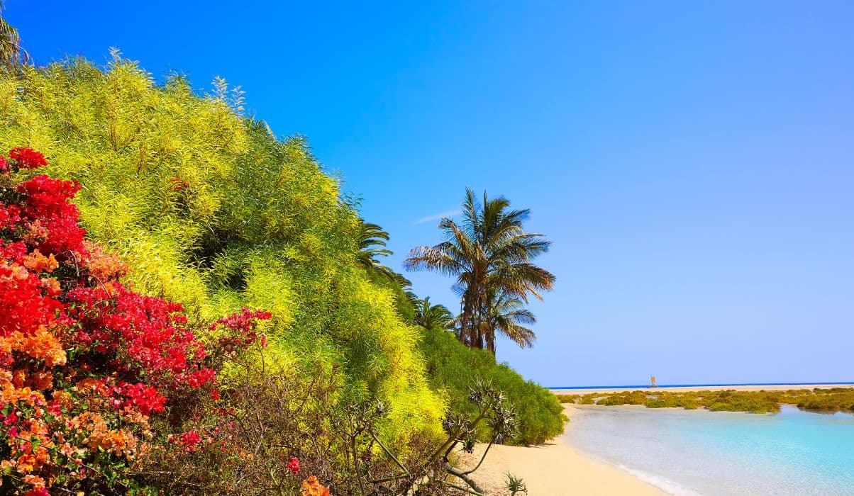 Sotavento Beach