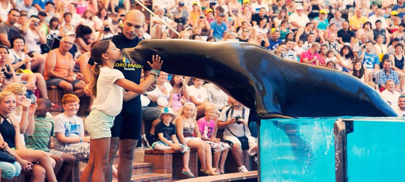 Destination Puerto de la Cruz