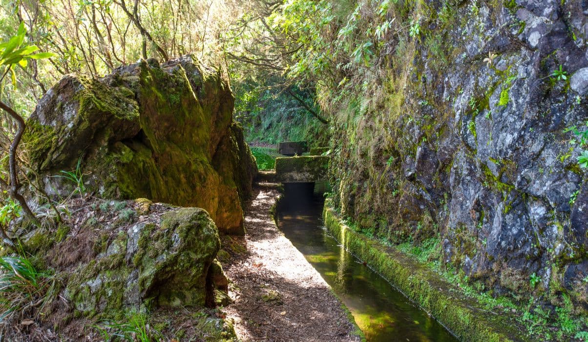 Levada Walks