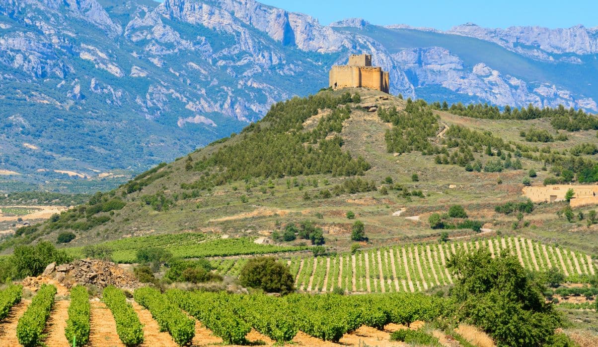 Rioja and Ribera del Duero Wines